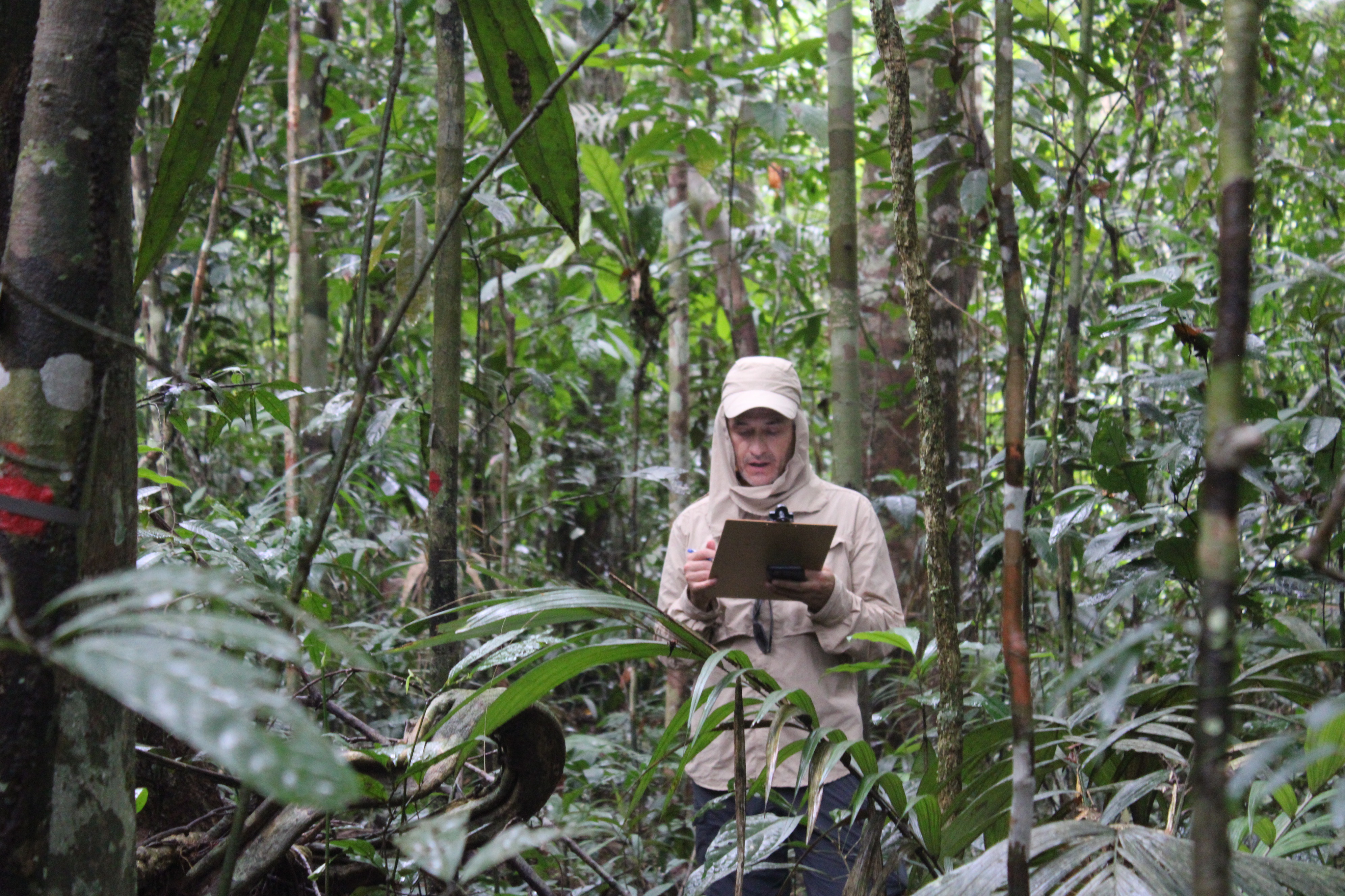 Improved Forest Management in Brazil
